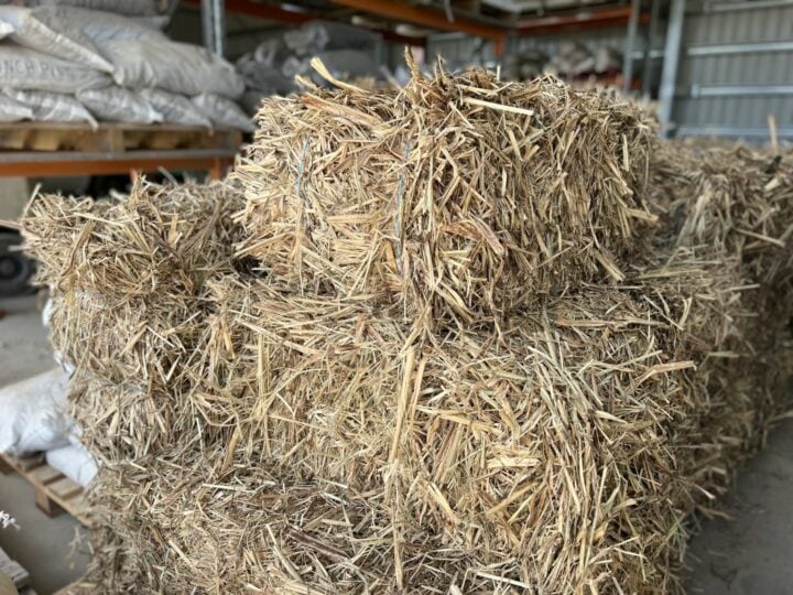 Sugar cane mulch