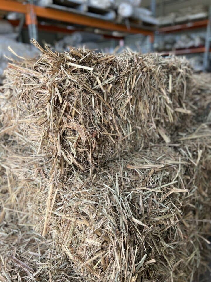 Sugar cane mulch